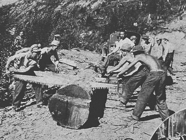 Pictured is the Tree Army from the Civilian Conservation Corps