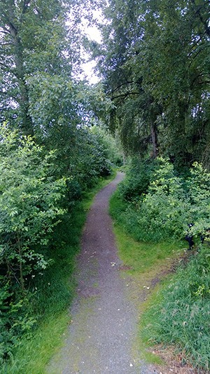 A 28-year-old man was stabbed by three suspects while walking on a trail along the Sammamish River.