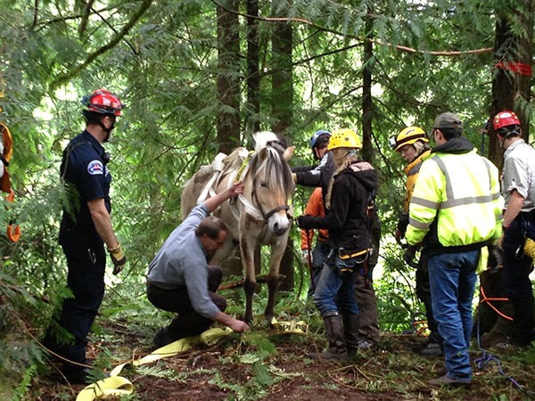 After spending about 30 hours at the bottom of a ravine outside of Redmond