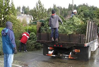 Boy Scout Troop 557 will be collecting trees this weekend for its recycling