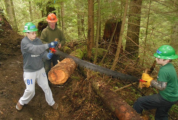 Members of Redmond Boy Scout Troop 591 work together to cut down a tree with a two-man