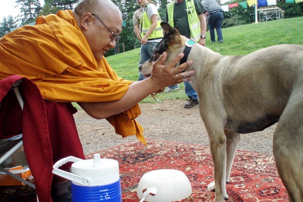 Venerable Geshe Thupten Phelgye will return to Marymoor Park near Redmond for the Second Annual Pet Blessing on May 19. Phelgye is a Buddhist monk who was born in Tibet. He grew up and was schooled in India after the Chinese occupation of Tibet in 1959.