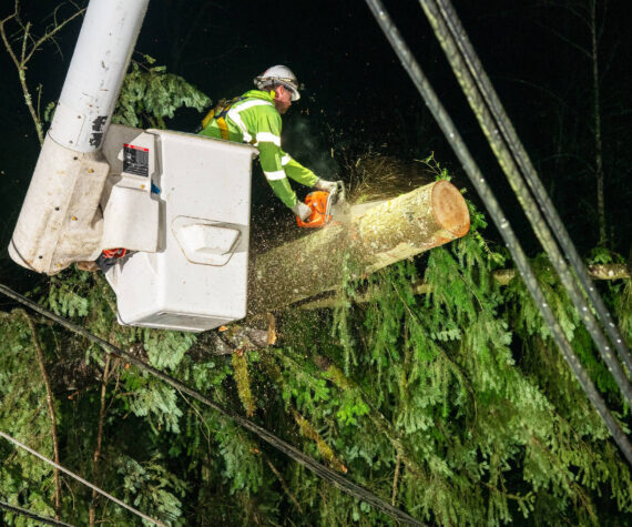 A Puget Sound Energy crew member removes a tree from the wires after the Nov. 19-20 windstorm that struck Western Washington. COURTESY PHOTO, PSE