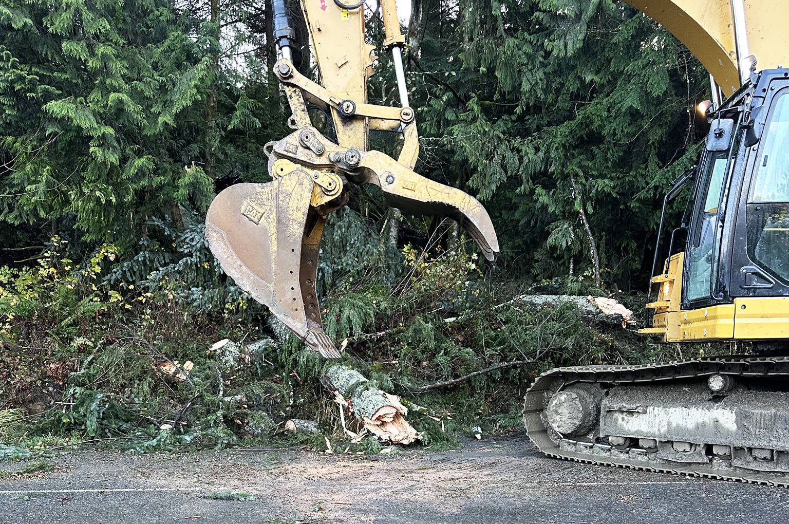 Crews clear trees from State Route 18, which the Washington State Patrol closed in both directions Wednesday, Nov. 20, from Issaquah Hobart to I-90 over Tiger Mountain because of fallen trees during a windstorm. COURTESY PHOTO, Washington State Patrol